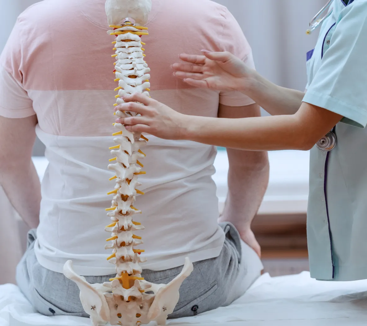 Fisioterapeuta avaliando a coluna do paciente com modelo anatômico